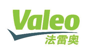 Valeo Logo-Shunho plastic solutions