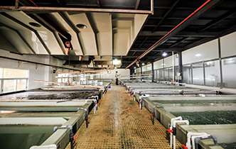 Anodizing workshop and production line